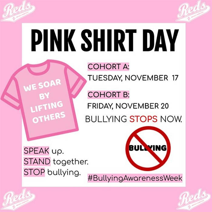 pinkshirt day dmchs